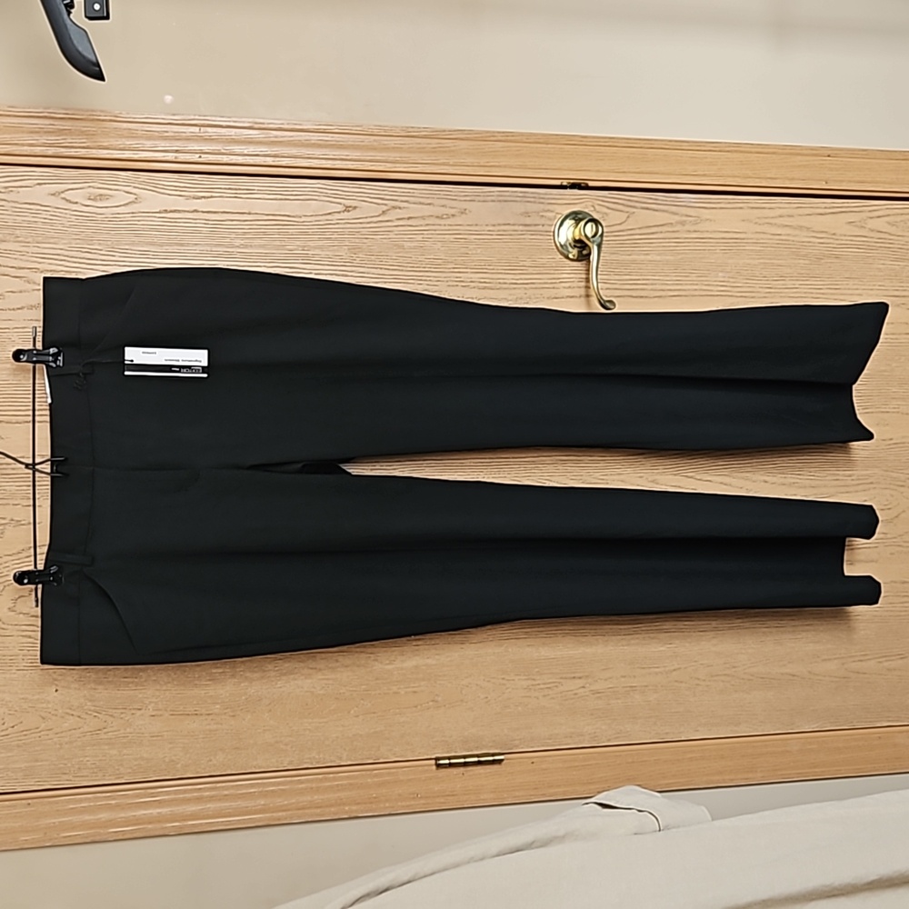 NWT Express Editor Original Flare dress pants